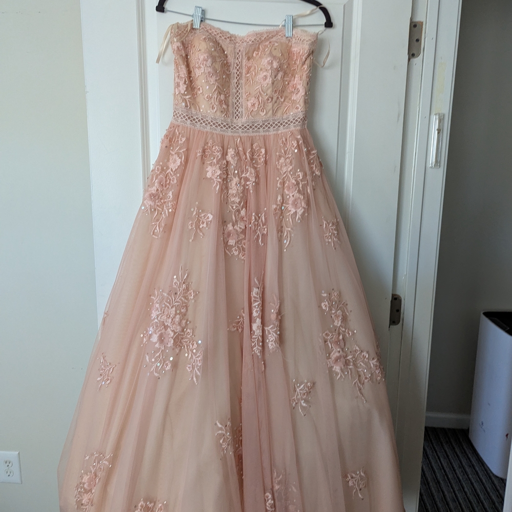 Basix Black Label Strapless Dress - Soft Peach
